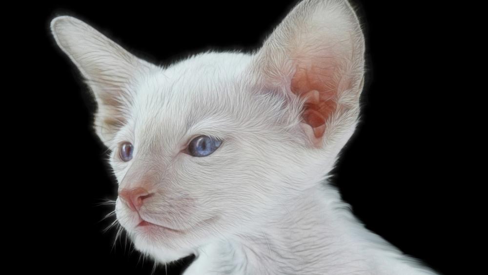 Wallpaper from animals category