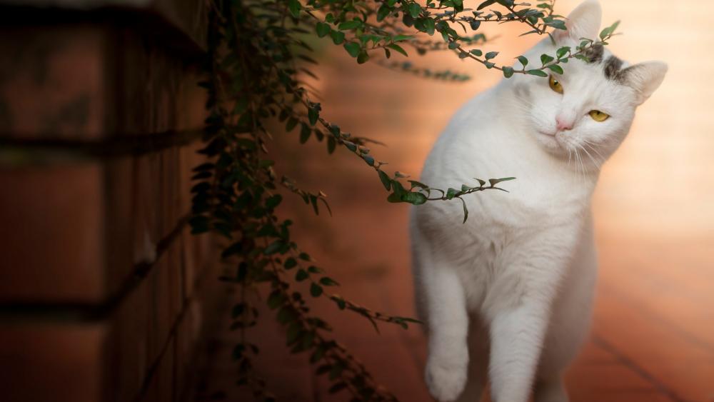 Wallpaper from animals category