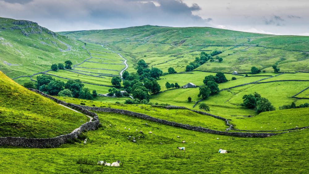 Serenity of the Green English Countryside wallpaper