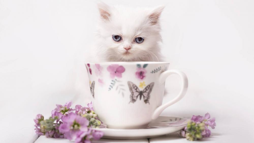 Fluffy White Kitten in a Floral Teacup wallpaper