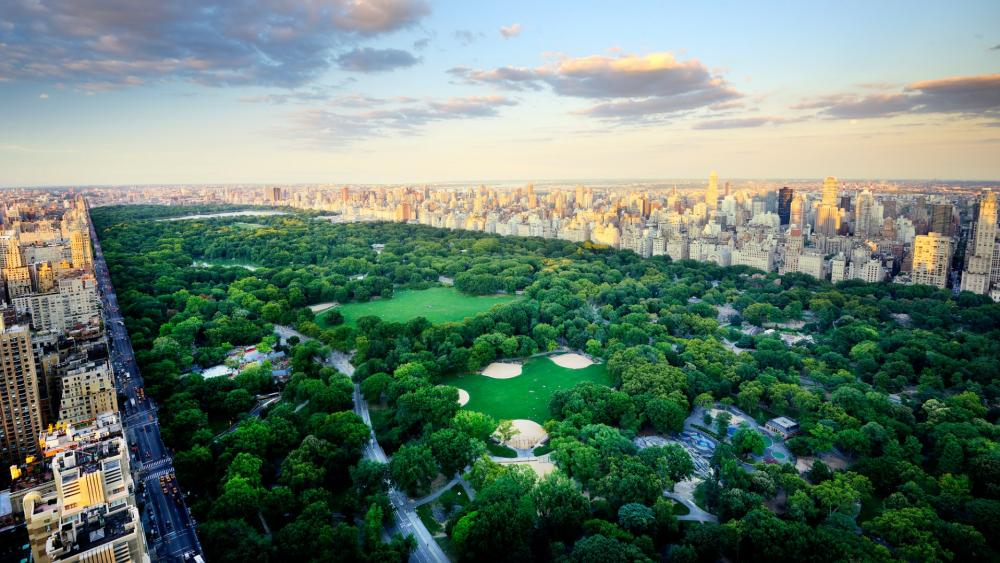 Central Park from above wallpaper