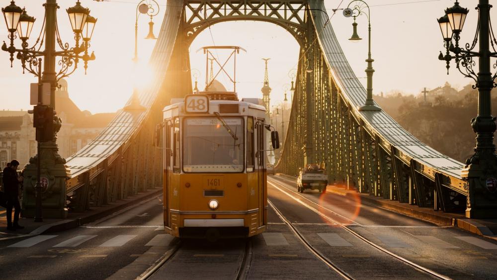 Tram on Liberty Bridge, Budapest wallpaper
