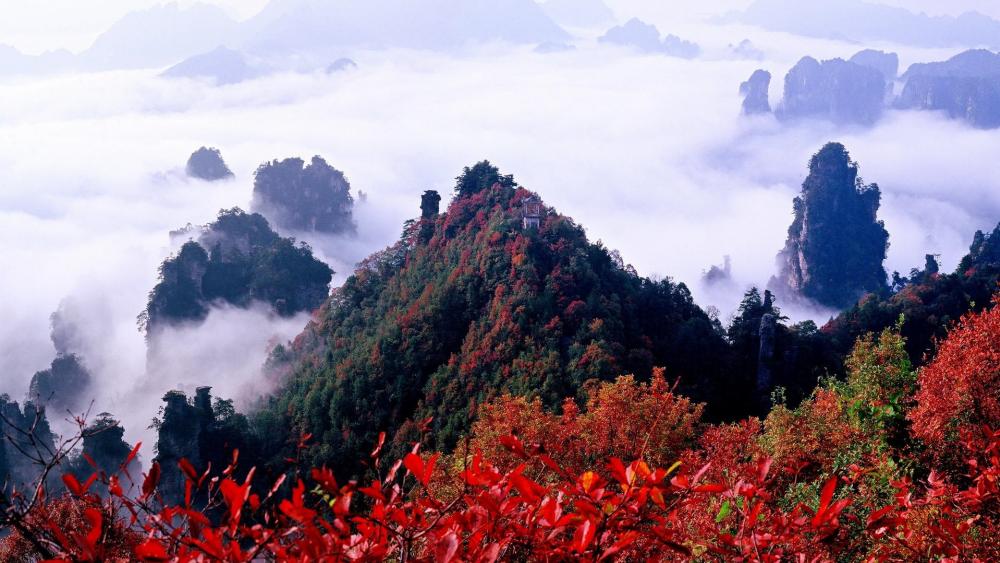 Majestic Mountain Peaks Shrouded in Misty Beauty wallpaper