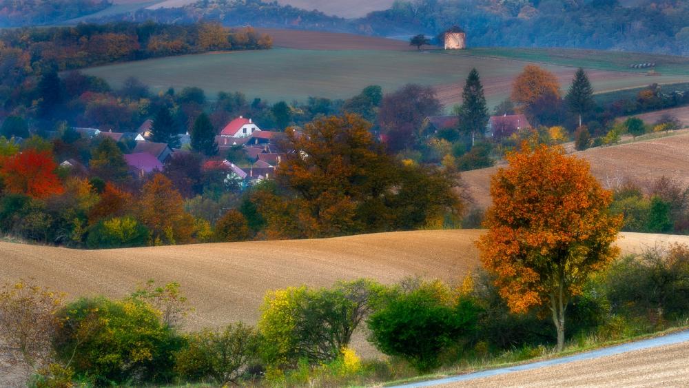 Wallpaper from nature category