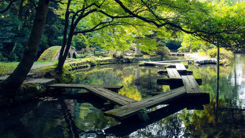 Tranquil Reflection in a Serene Nature Setting wallpaper