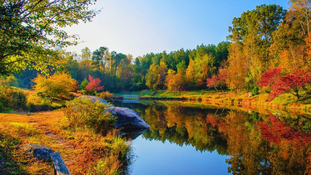 Autumn Serenity by the River wallpaper