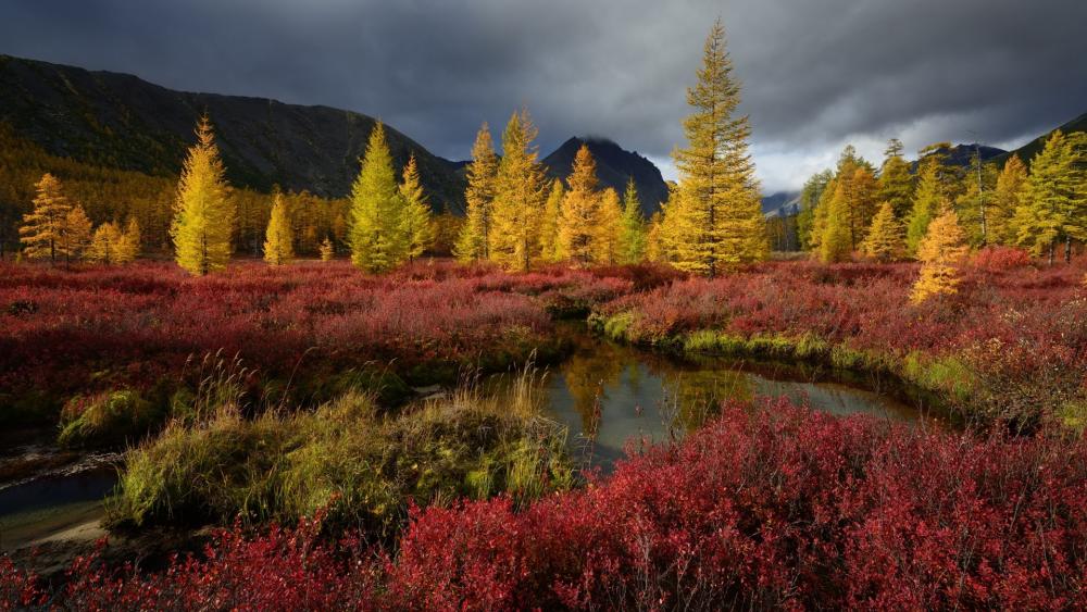 Autumn Serenity in Nature's Embrace wallpaper