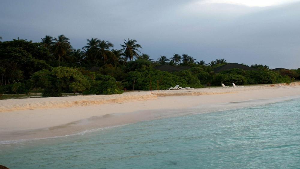 Tranquil Beach Escape with Lush Greenery wallpaper