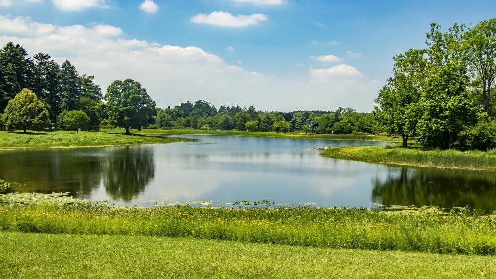 Tranquil Lakeside Serenity in Nature's Embrace wallpaper