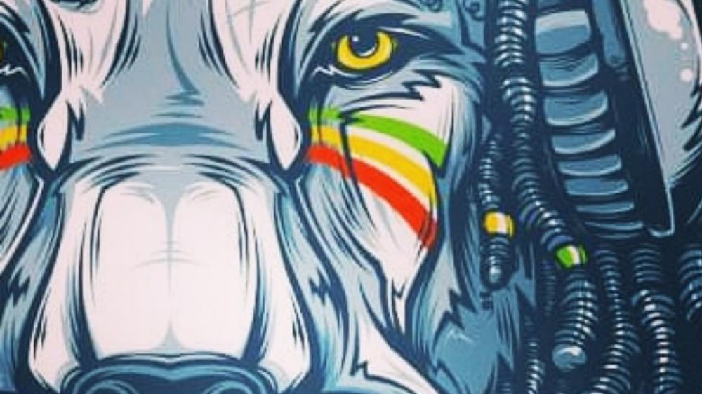 Reggae lion wallpaper