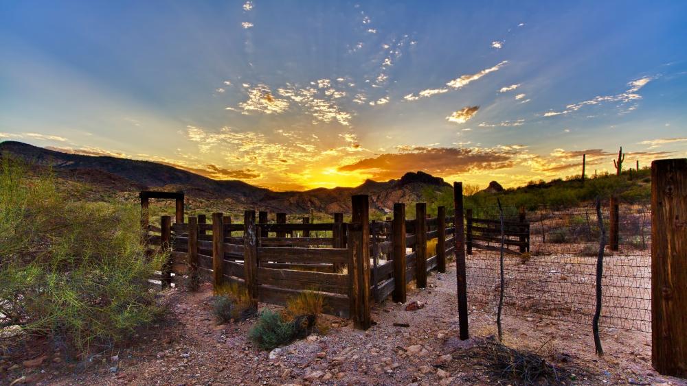 Serene Desert Sunset Overlooking Scenic Landscape wallpaper