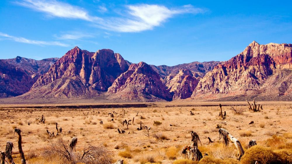 Red Rock Canyon National Conservation Area wallpaper