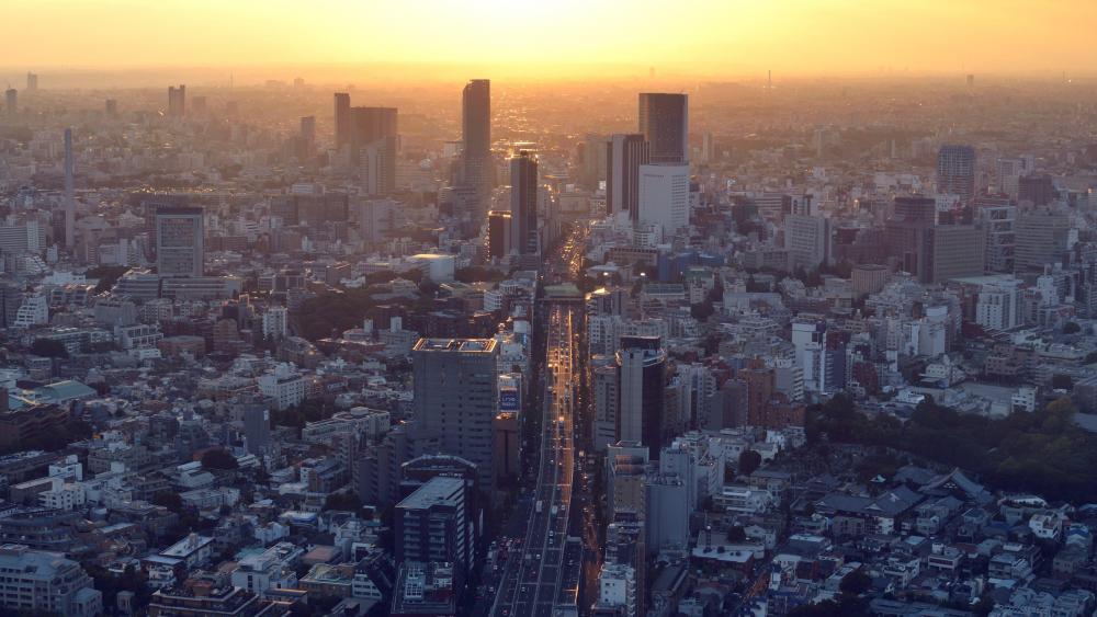 View of Route 3 (Shuto Expressway) from Roppongi Hills Mori Tower in Tokyo wallpaper