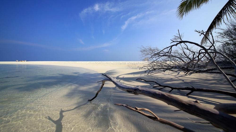 Serenity of a Tranquil Beach Scene wallpaper