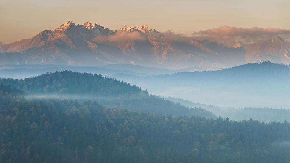 Wallpaper from nature category