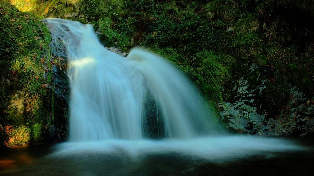 Serenity of a Flowing Waterfall wallpaper