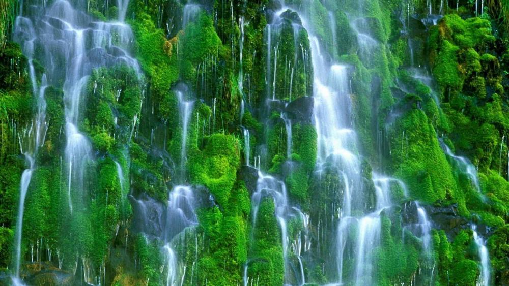 Itatiaia National Park, Véu de Noiva Waterfall wallpaper