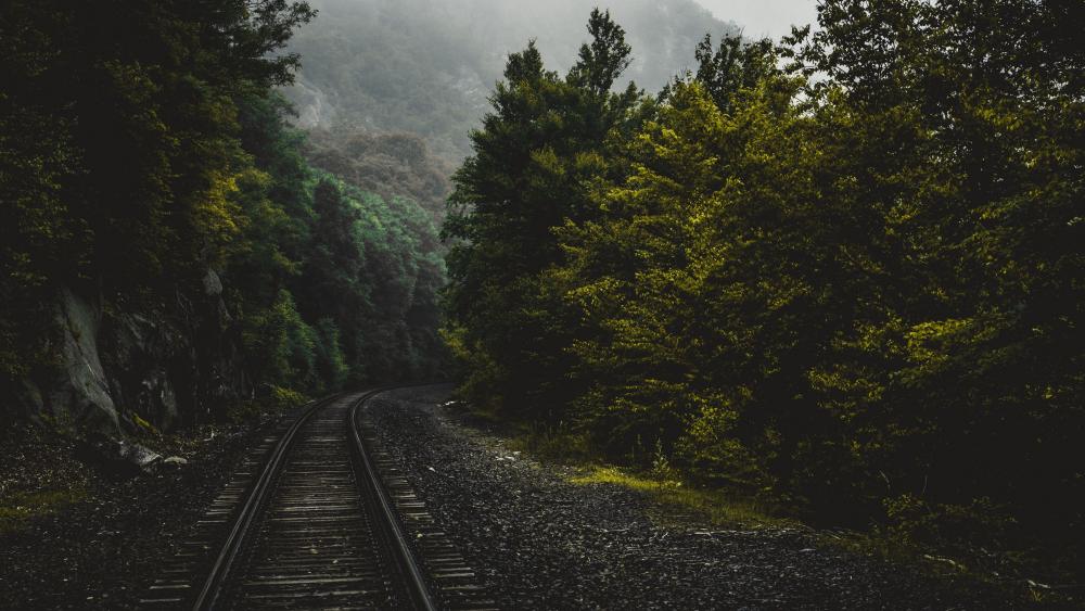 Railway Forest Trees wallpaper