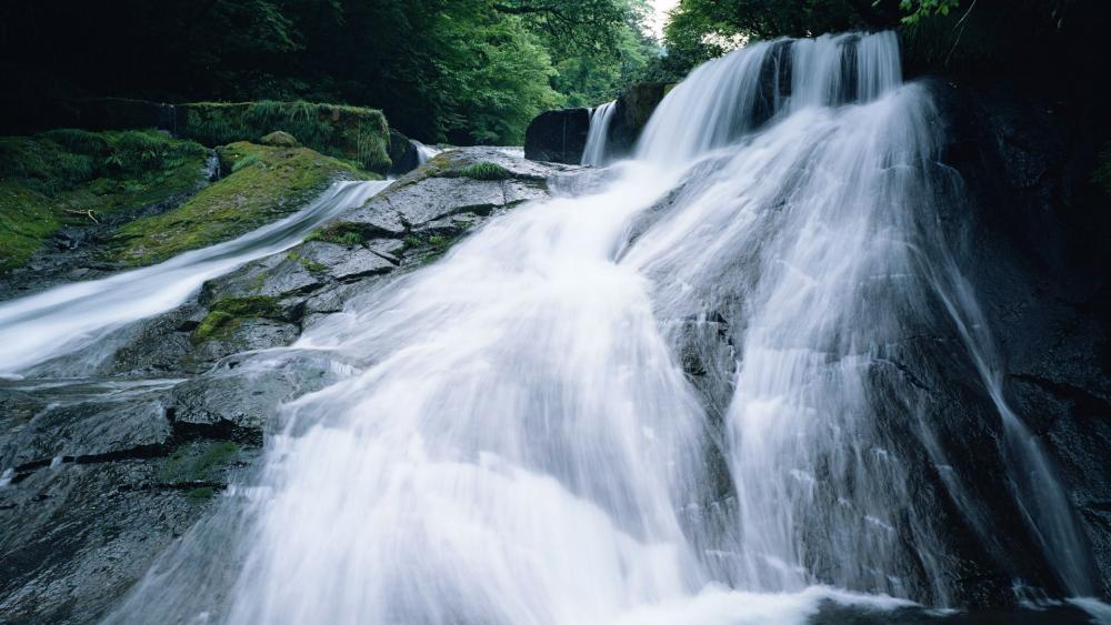 Tranquil Cascade of Nature's Beauty wallpaper