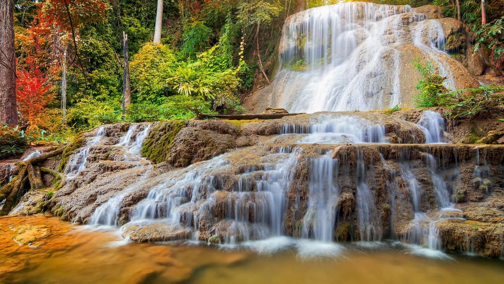 Majestic Waterfalls in a Lush Forest Scene wallpaper