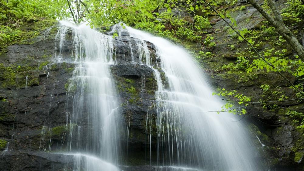 Tranquil Waterfall Amidst Lush Greenery wallpaper