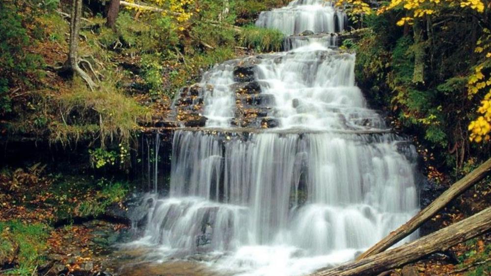 Wallpaper from nature category