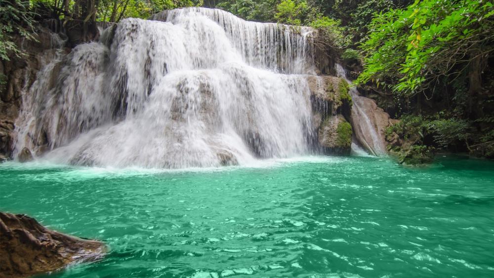 Serene Waterfall in Lush Greenery wallpaper
