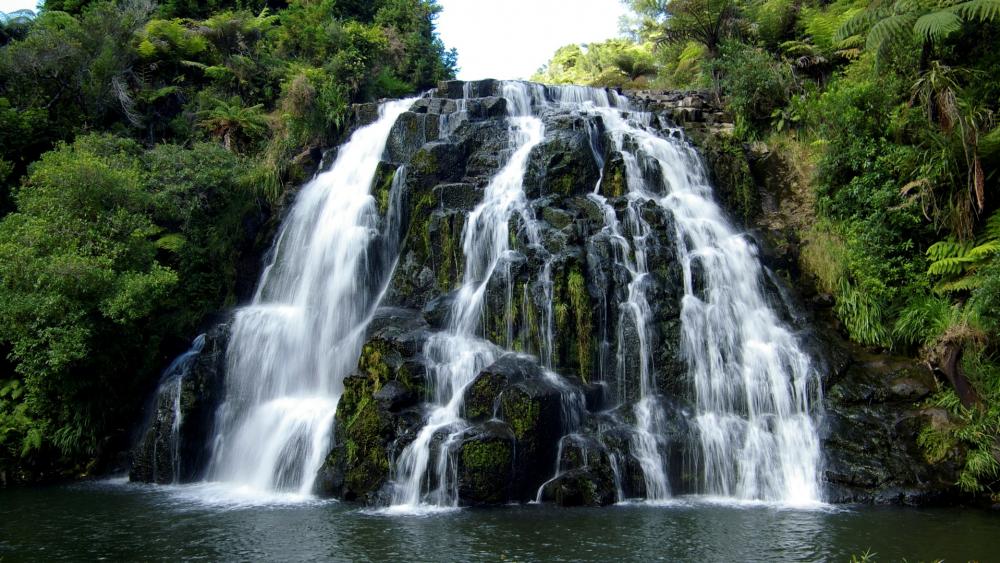 Karangahake Gorge, Owharoa Falls wallpaper