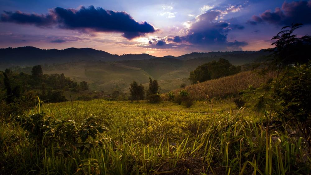 Serene Mountain Sunrise Scene wallpaper