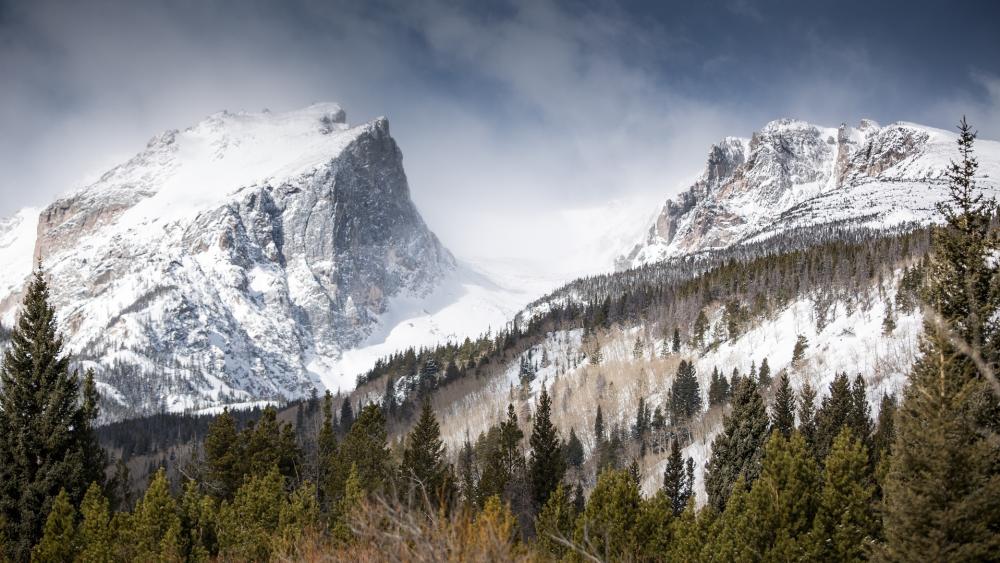 Majestic Snow-Capped Peaks Amidst Lush Forests wallpaper