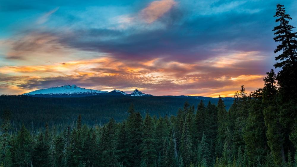 Majestic Sunset Over Serene Forest Landscape wallpaper