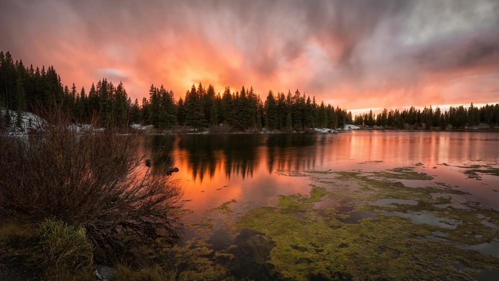 Serene Sunset Over a Tranquil Lake wallpaper