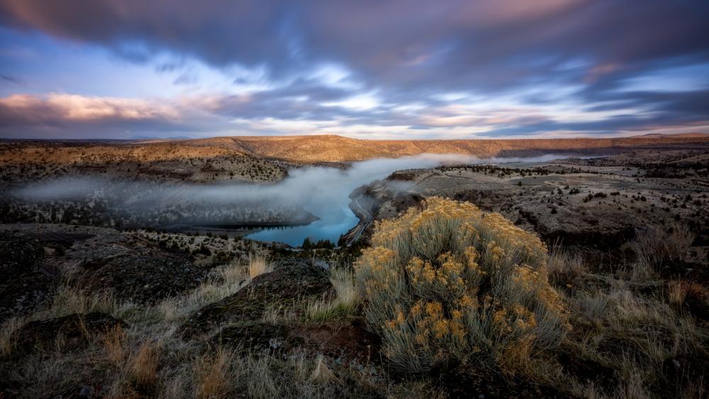 Serene Mist Over a Tranquil Landscape wallpaper