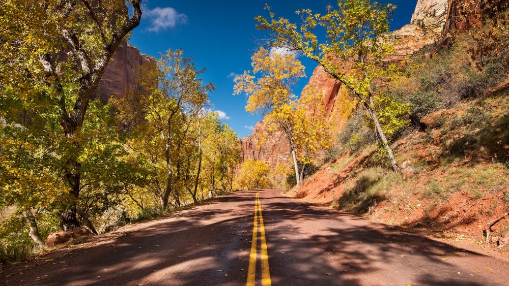 Autumn Road in a Scenic Canyon View wallpaper