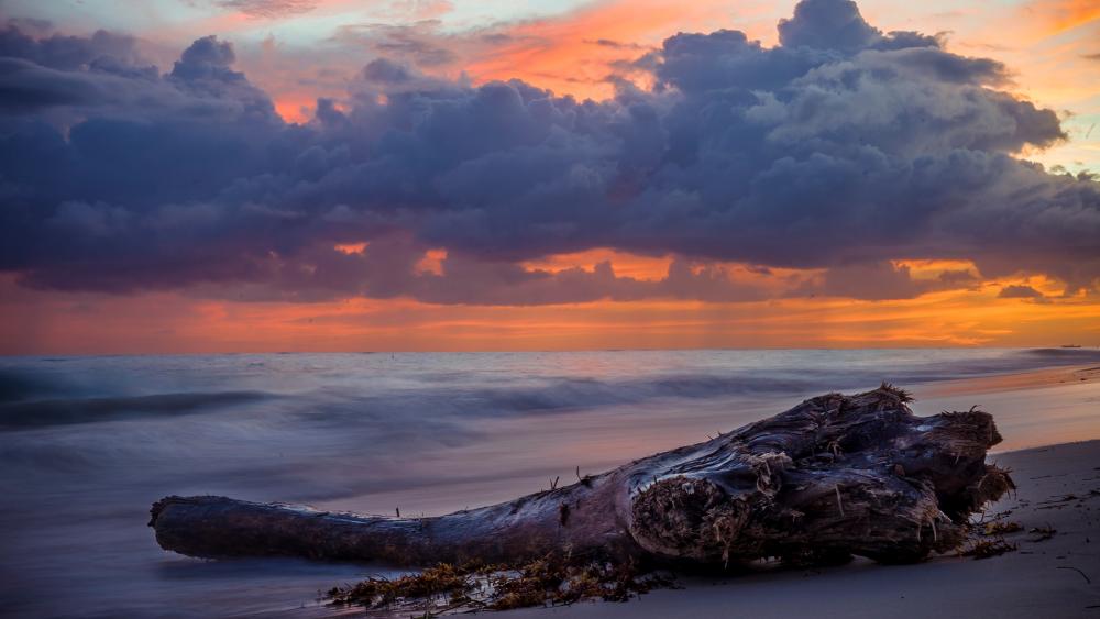 Serene Sunset Over Ocean Waves wallpaper