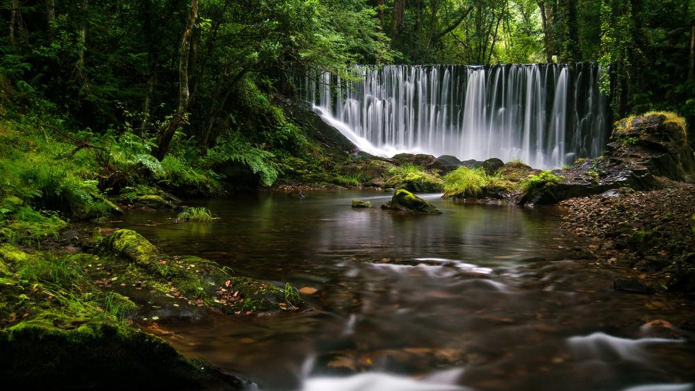 Serene Waterfall Among Lush Greenery wallpaper