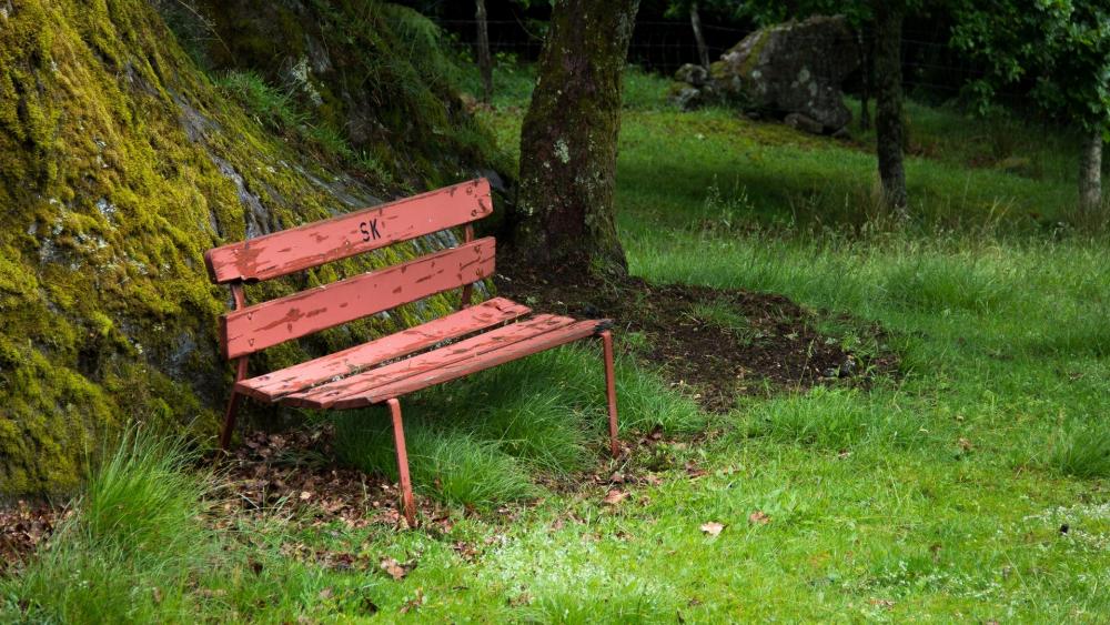 Serene Abandonment in Nature’s Embrace wallpaper