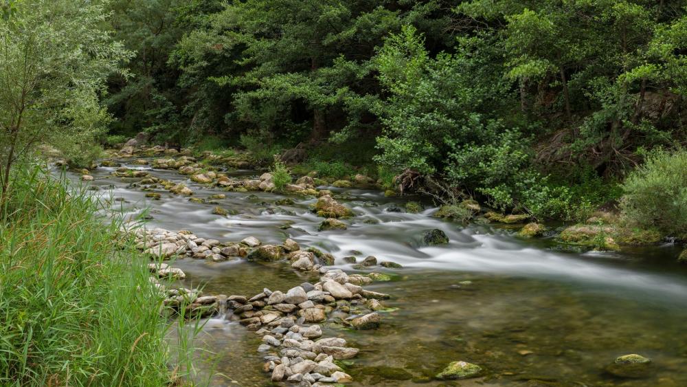 Wallpaper from nature category