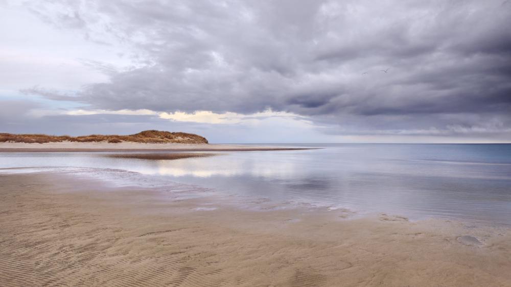 Serene Beach Under a Cloudy Sky wallpaper