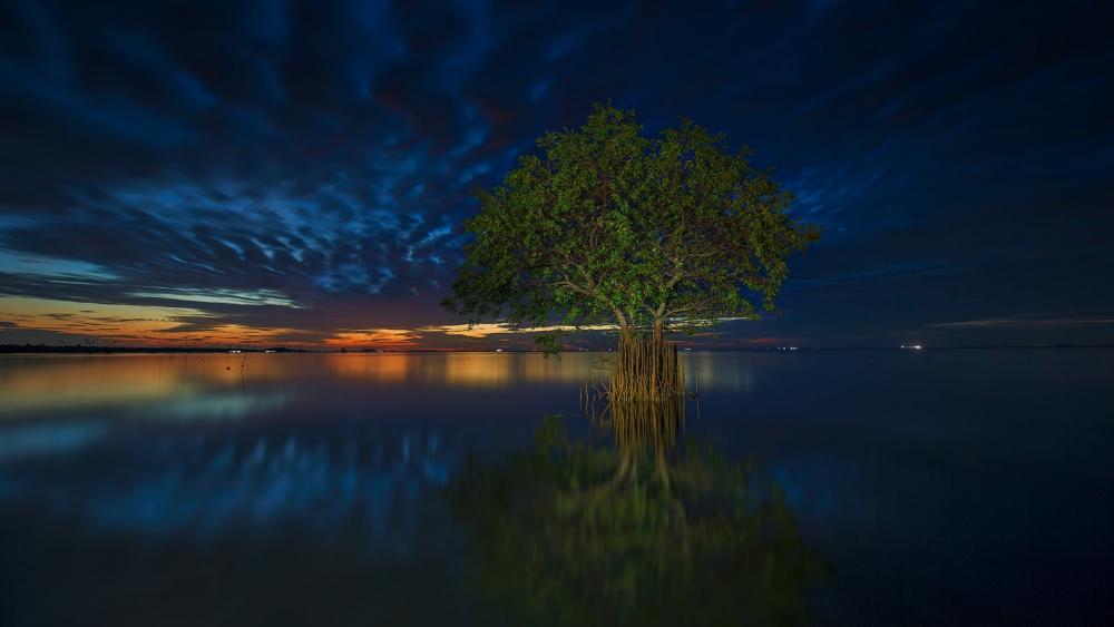 Solitary tree in a lake at dusk wallpaper