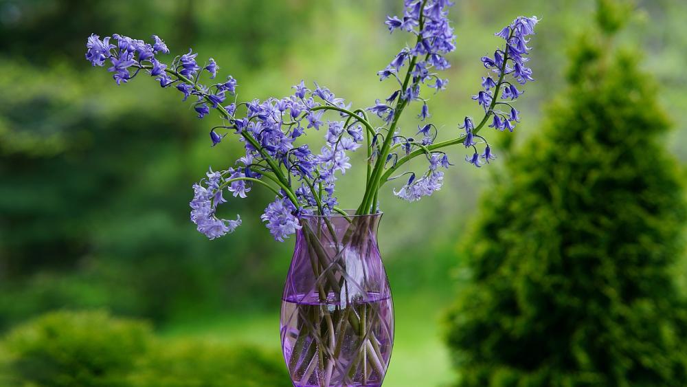 Blue flowers in purple vase wallpaper