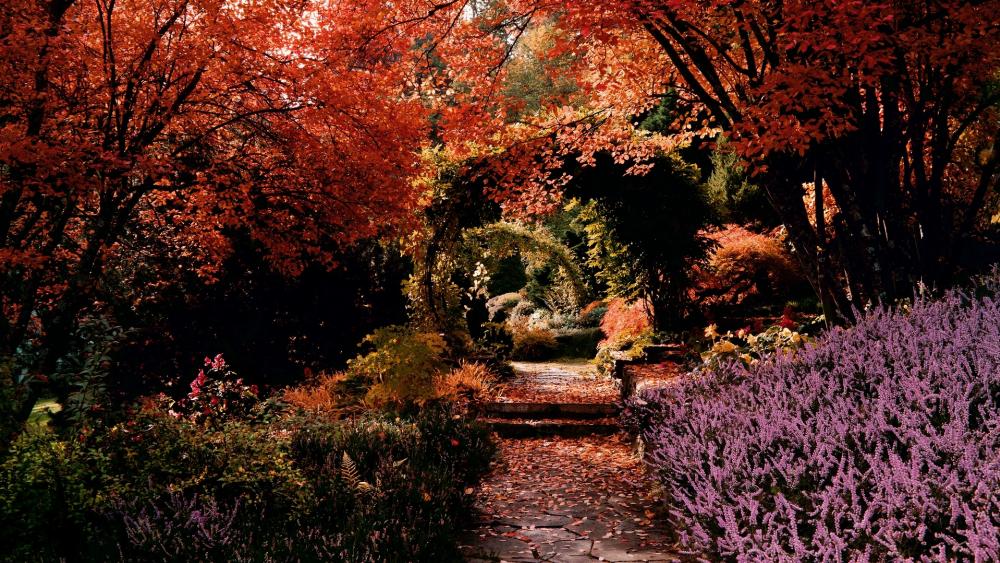 Romantic garden path wallpaper