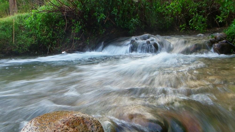 Wallpaper from nature category