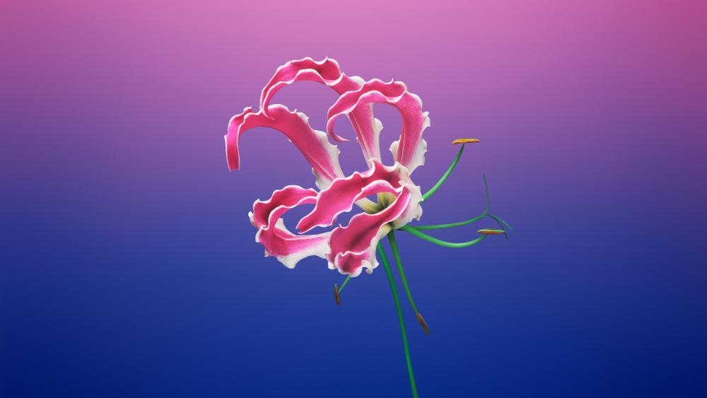 Pink flower digital art wallpaper