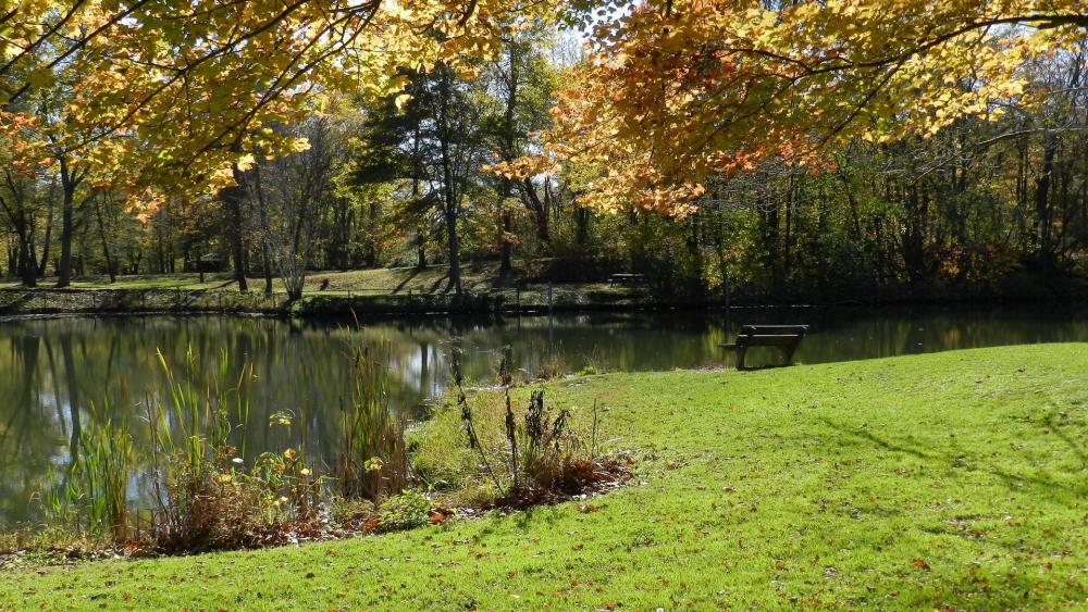 Tranquil Autumn Serenity in Nature wallpaper