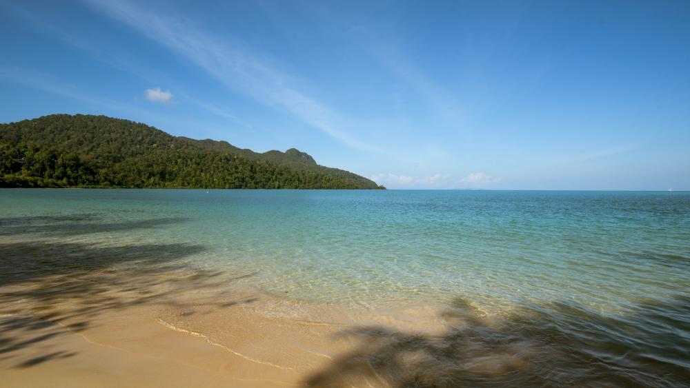 Tranquil Beach Bliss wallpaper