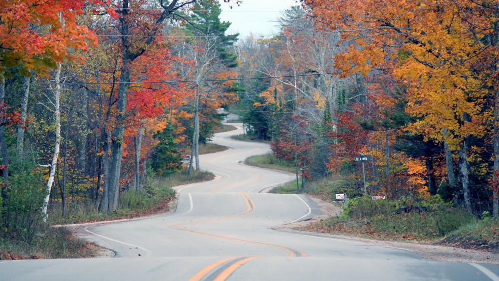Winding Road Through Autumn Colors wallpaper