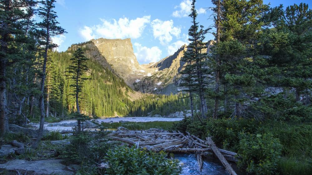 Majestic Mountain Landscape Surrounded by Lush Forests wallpaper