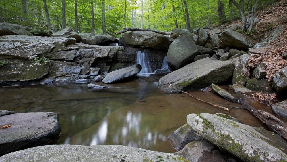 Serene Forest Waterfall Scene wallpaper