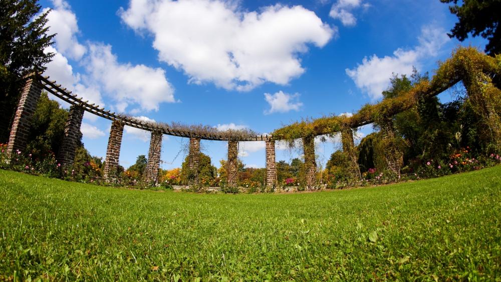 Serene Garden Under Blue Skies wallpaper